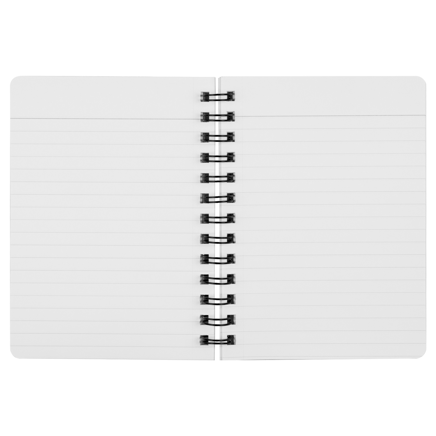 Notebook_SN_Open_Pages_Mockup.png