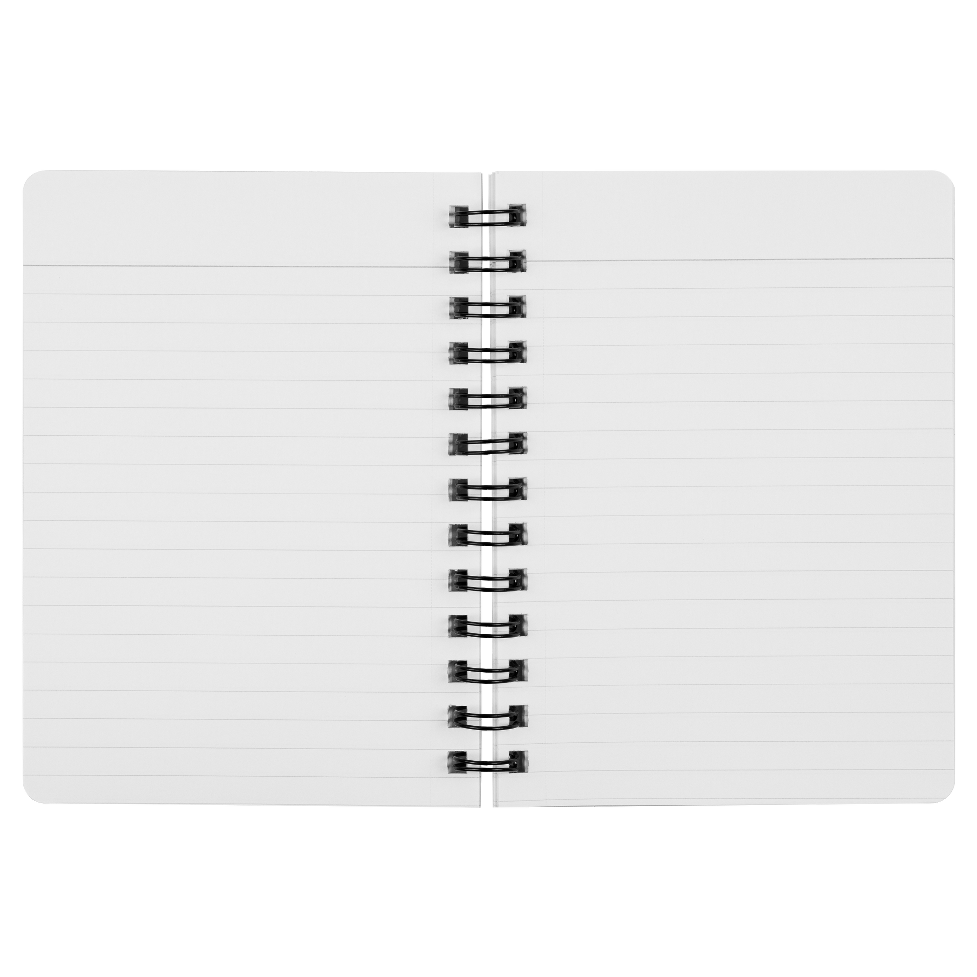Notebook_SN_Open_Pages_Mockup.png